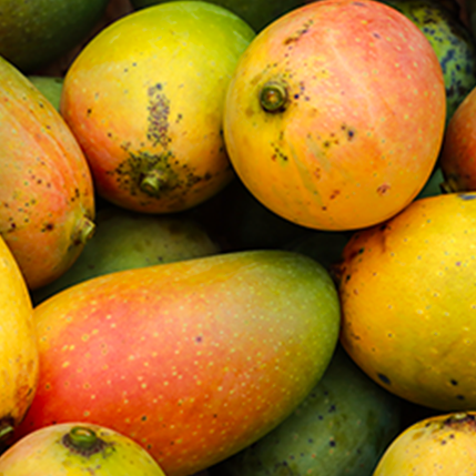 MANGO TROPICAL - ΤΡΟΠΙΚΟ ΜΑΝΓΚΟ (BULK ΣΥΜΠΥΚΝΩΜΕΝΟ ΑΡΩΜΑ) - FA1703