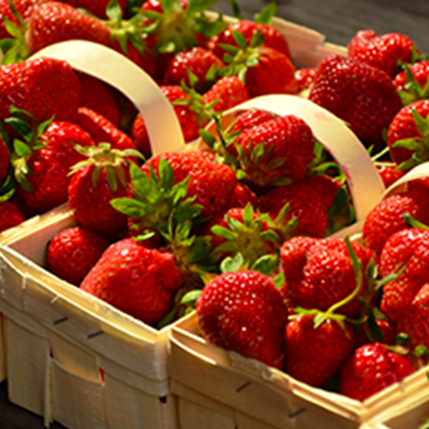 STRAWBERRY - ΩΡΙΜΗ ΦΡΑΟΥΛΑ (BULK ΣΥΜΠΥΚΝΩΜΕΝΟ ΑΡΩΜΑ) - FA1707