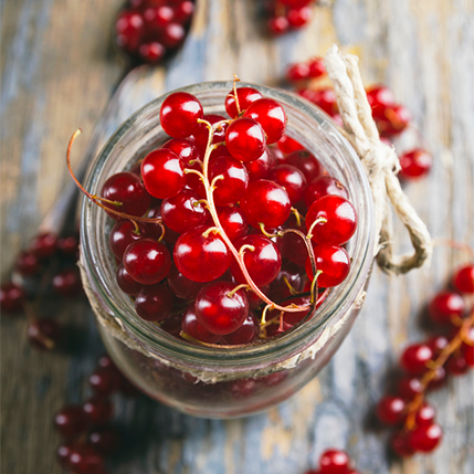 RED CURRANT - ΚΟΚΚΙΝΟ ΦΡΑΓΚΟΣΤΑΦΥΛΟ (BULK ΣΥΜΠΥΚΝΩΜΕΝΟ ΑΡΩΜΑ) - FA1716