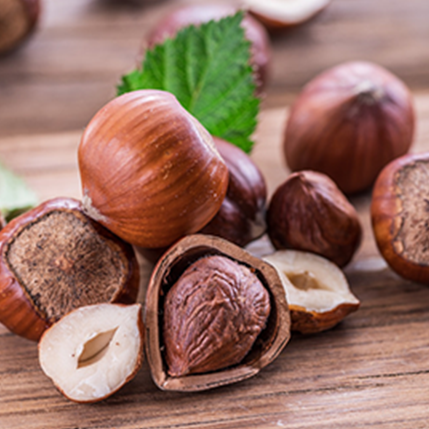 HAZELNUT - ΦΟΥΝΤΟΥΚΙ (BULK ΣΥΜΠΥΚΝΩΜΕΝΟ ΑΡΩΜΑ) - FA1719