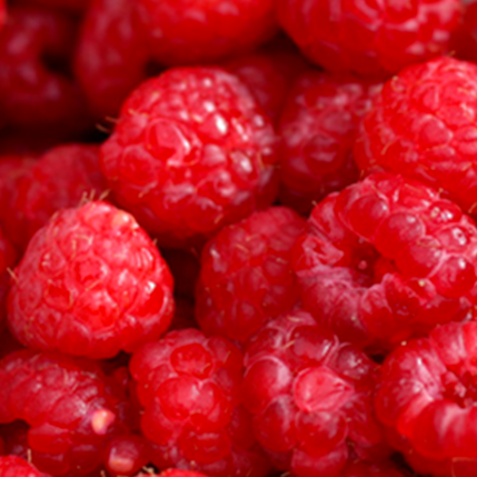 RASPBERRY - ΣΜΕΟΥΡΟ (BULK ΣΥΜΠΥΚΝΩΜΕΝΟ ΑΡΩΜΑ) - FA1720