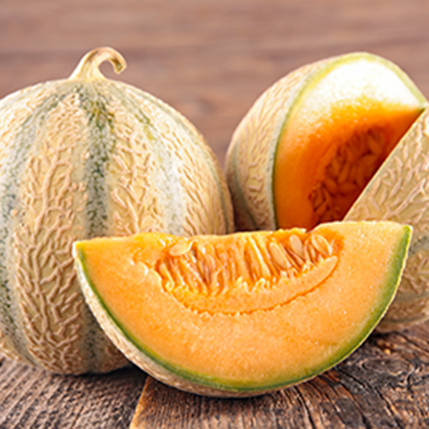 MELON MEGA - ΦΡΕΣΚΟ ΠΕΠΟΝΙ (BULK ΣΥΜΠΥΚΝΩΜΕΝΟ ΑΡΩΜΑ) - FA1737