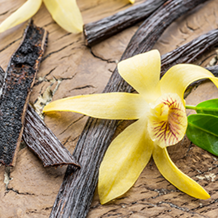 NATURAL VANILLA - ΒΑΝΙΛΙΑ (BULK ΣΥΜΠΥΚΝΩΜΕΝΟ ΑΡΩΜΑ) - FA1739