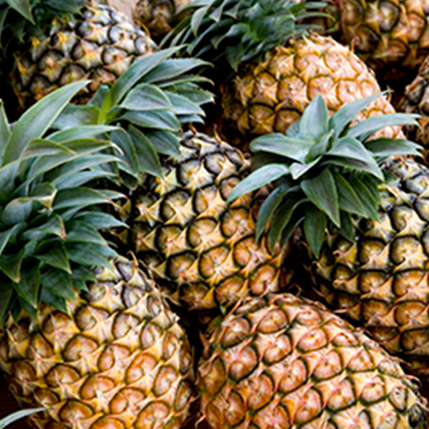 PINEAPPLE KENYAN SPECIAL - ΑΝΑΝΑΣ (BULK ΣΥΜΠΥΚΝΩΜΕΝΟ ΑΡΩΜΑ)
