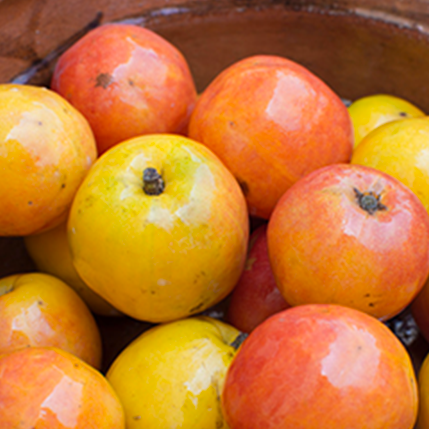 JOCOTE PLUM - JOCOTE ΙΣΠΑΝΙΚΟ ΦΡΟΥΤΟ (BULK ΣΥΜΠΥΚΝΩΜΕΝΟ ΑΡΩΜΑ)