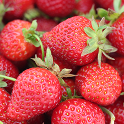 STRAWBERRY - ΦΡΑΟΥΛΑ (BULK ΣΥΜΠΥΚΝΩΜΕΝΟ ΑΡΩΜΑ) - FA2371