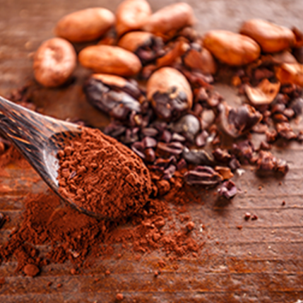 COCOA – ΚΑΚΑΟ (BULK ΣΥΜΠΥΚΝΩΜΕΝΟ ΑΡΩΜΑ) - FA2374