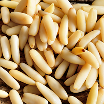 PINE NUT - ΚΟΥΚΟΥΝΑΡΟΣΠΟΡΟΣ (BULK ΣΥΜΠΥΚΝΩΜΕΝΟ ΑΡΩΜΑ) - FA2376