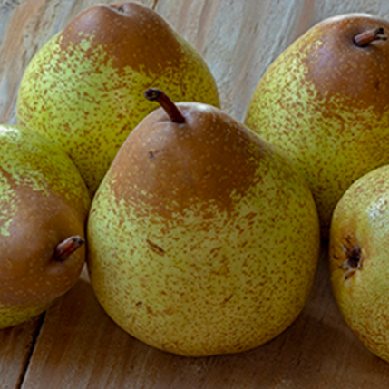 PEAR TYPE ROCHA - ΑΧΛΑΔΙ (BULK ΣΥΜΠΥΚΝΩΜΕΝΟ ΑΡΩΜΑ) - FA2393