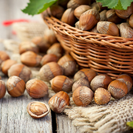 MEDIUM ROASTED HAZELNUT - ΜΕΤΡΙΑ ΨΗΜΕΝΟ ΦΟΥΝΤΟΥΚΙ (BULK ΣΥΜΠΥΚΝΩΜΕΝΟ ΑΡΩΜΑ) - FA2447