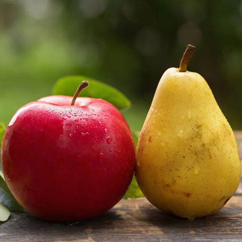 APPLE AND PEAR AIO - ΜΗΛΟ ΚΑΙ ΑΧΛΑΔΙ (BULK ΣΥΜΠΥΚΝΩΜΕΝΟ ΑΡΩΜΑ) - FA5595