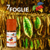 7 FOGLIE (10ML DIY ΣΥΜΠΥΚΝΩΜΕΝΟ ΑΡΩΜΑ)