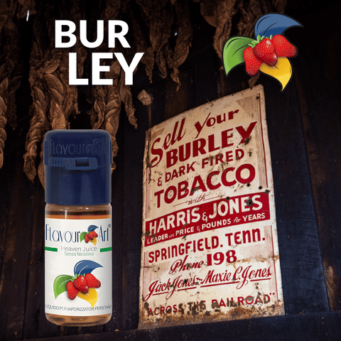 BURLEY 10ML